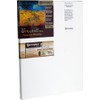 Masterpiece Artist Canvas 41085 Vincent PRO 7/8" Deep, 20" x
