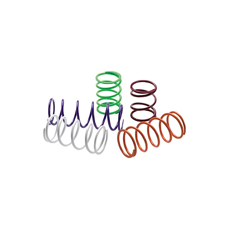 EPI Can-am Atv/utv Clutch Spring Silver