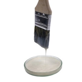 Applying mold remover, White World, 1 main product + brush / 바르는 곰팡이 제거제 하얀세상, 본품 1개 + 붓