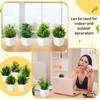 Jexine Small Fake Plants Bulk Mini Artificial Plant Flower Faux