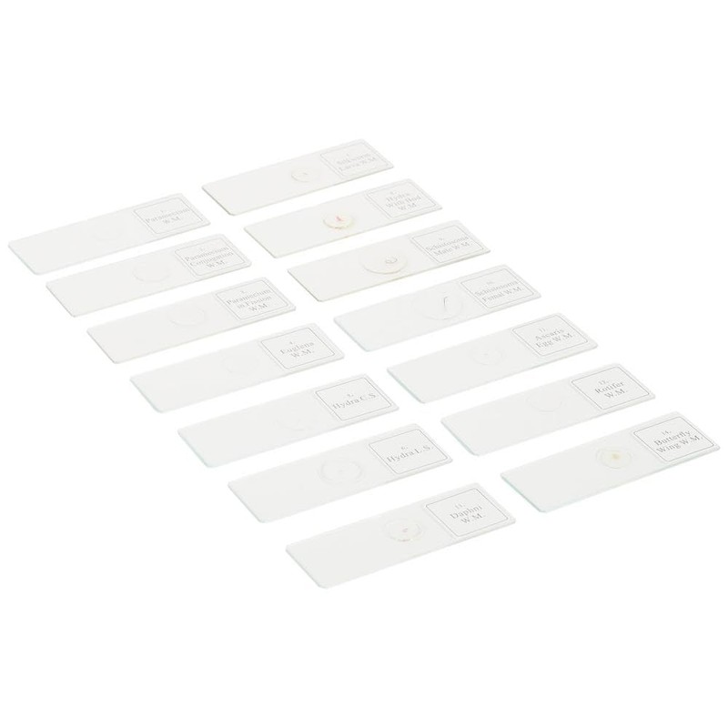 Bresser microscope accessories permanent preparation animal (30pcs.)