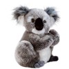 Plush & Company 05932 and Company Koline Koala Plüschtier, 22