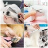 Dog Grooming Kit & Paw Trimmer-Low Noise Electric Quiet Clippers
