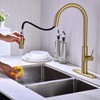 Brass Gold Kitchen Faucet with Pull Down Sprayer, Single Handle,