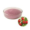 Rosehip Extract Powder 100g Sample