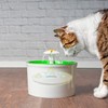 All4Pets Cat Water Filter, Cat, Water Filter, Replacement, Activated Carbon,