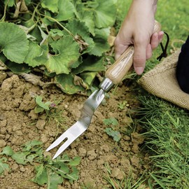 Kent & Stowe Hand Root Cutter - Stainless Steel Weed Cutter for Grass and Soil Surfaces, Weed Remover with Ash Handle Length: 30 cm