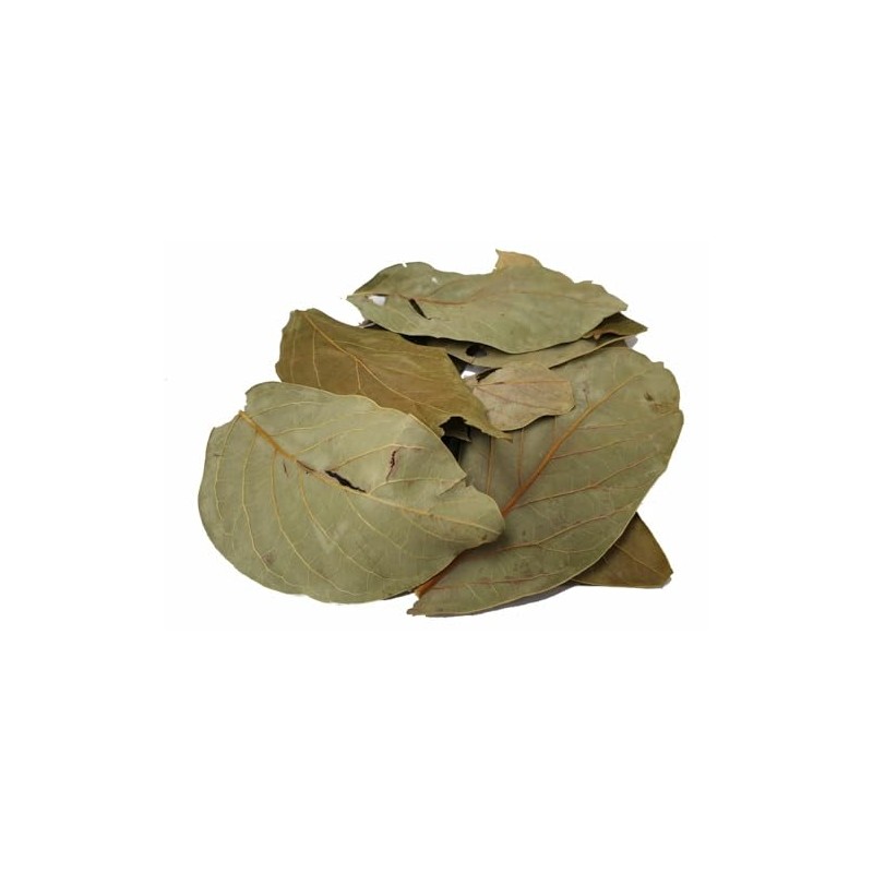 EliteKoopers Organic Dried Avocado leaves 50g