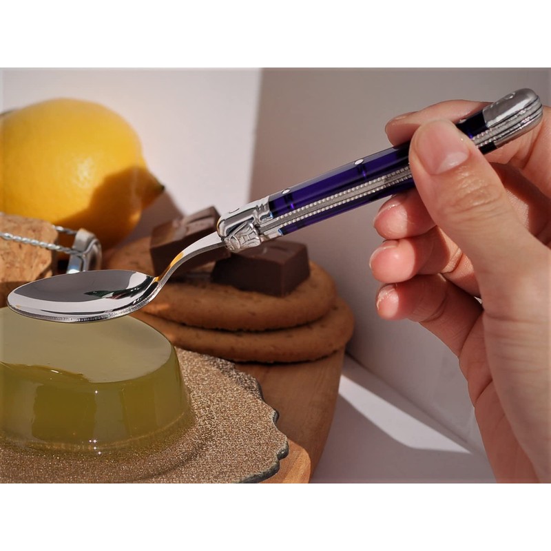 Laguole ABS Handle Teaspoon Gift Boxed French NERON Paris Blue