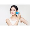 AHC Natural Perfection Sun Stick 22g(SPF50PA)
