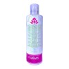 Florigan Crema Peinar Aceites De Castañas Y Áloe Vera 250ml.