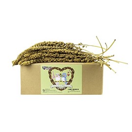 Birds LOVE French Kissed Bird Millet 5lbs