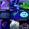 UV Flashlight 365nm & 395nm uv Light, Mini Powerful Rechargeable