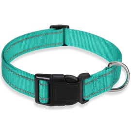 Reflective Dog Collar with Buckle Adjustable Safety Nylon Collars for Small Medium Large Dogs, Green S