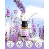 MIZZEO Floral Essential Oil Set, Premium Pure & Natural Aromatherapy