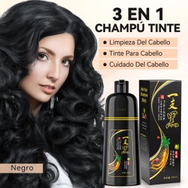 Shampoo Tinte Instantáneo Cubre Canas Natural Jengibre