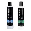 Kit Janibell Tratamiento Keratina Y Mascarilla Multiesferas