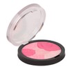 Sedell Multi Blush Powder-01, Multicolor, 8 g