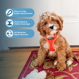 Voyager Step-In Air Dog Harness by Best Pet Supplies - All Weather Mesh Step in Vest Harness for Small and Medium Dogs, Orange, Size XS - Chest 33-37 cm