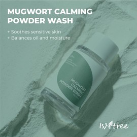 ISNTREE Limpiador Facial en Polvo Spot Saver Mugwort Powder Wash - Coreano con Artemisa Mugwort, Exfoliación Suave y Poros, 15 g