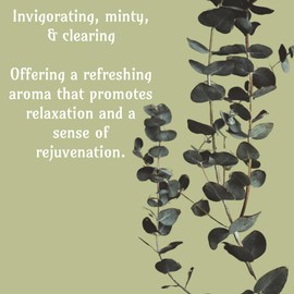 Buyitshipit - Eucalyptus from Our Spa Collection - Perfect for Adding Aroma to Freshies, Candles, Soaps, and Diffusers - 16 oz