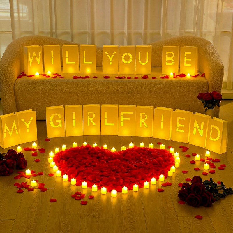 Aurelema 6093 Pcs Will You Be My Girlfriend Light up