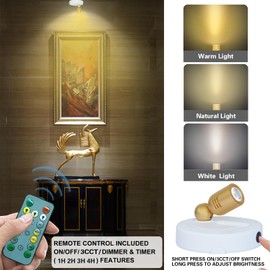 HAMVIDNE Rechargeable LED Spotlight, Indoor Battery Operated Spotlights with Remote, 3 Lighting Modes Up Lights for Plants, Dimmable Timer Picture Lights for Wall Art Painting Tree Spotlight