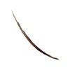 Colorstay™ Semi Permanent Brow Ink Soft Brown