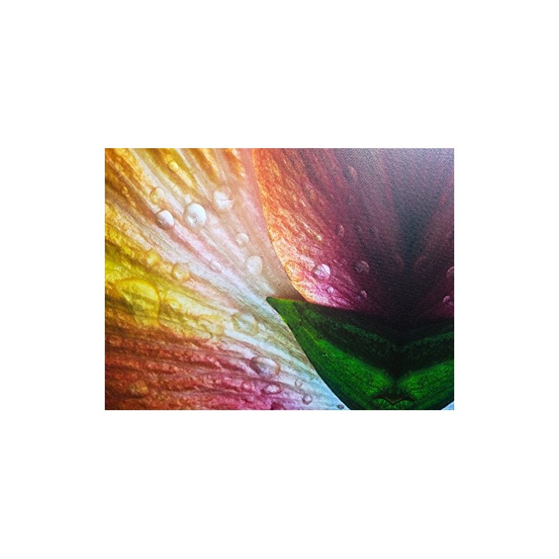 8.5" X 11" Canvas Textured Premium Inkjet Photo Paper -