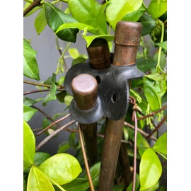 PLANT SUPPORT MADE EASY Stretch Rubber Plant Stake Connecters, 6-Pack, Model:GC-2006