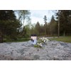 Star Dandelion LED Grave Light White / Black