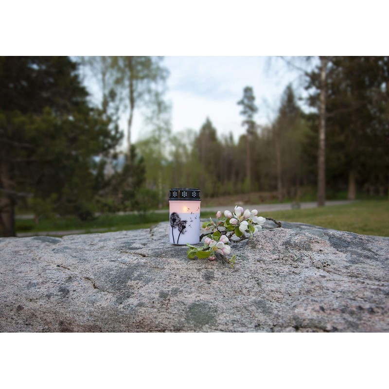 Star Dandelion LED Grave Light White / Black