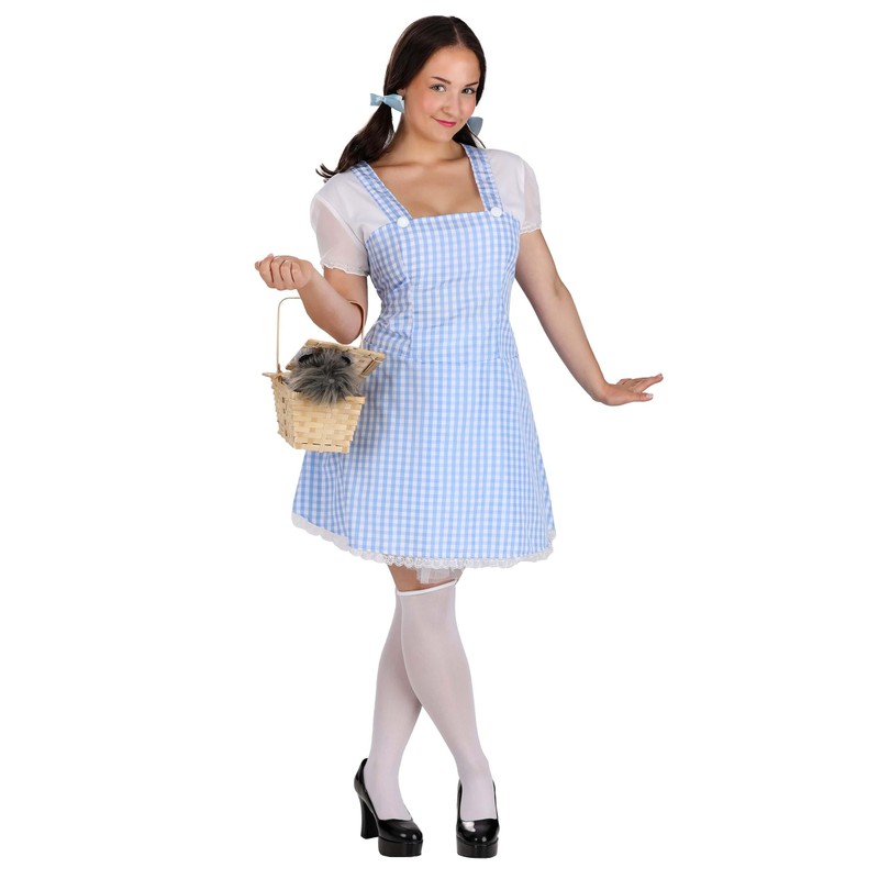 Dreamgirl Gingham Dress, Light Blue, Small