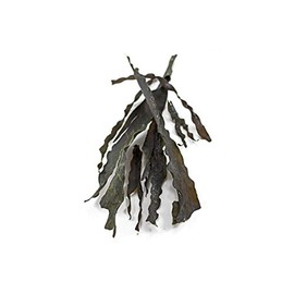 Sussex Wholefoods Organic Kombu Seaweed 100g