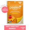 Peeled Snacks Organic Dried Fruit – Healthy, Vegan Snacks for