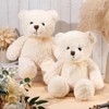 HyDren 2 Pack Plush Bear Stuffed Animals 18 Inch Cuddly