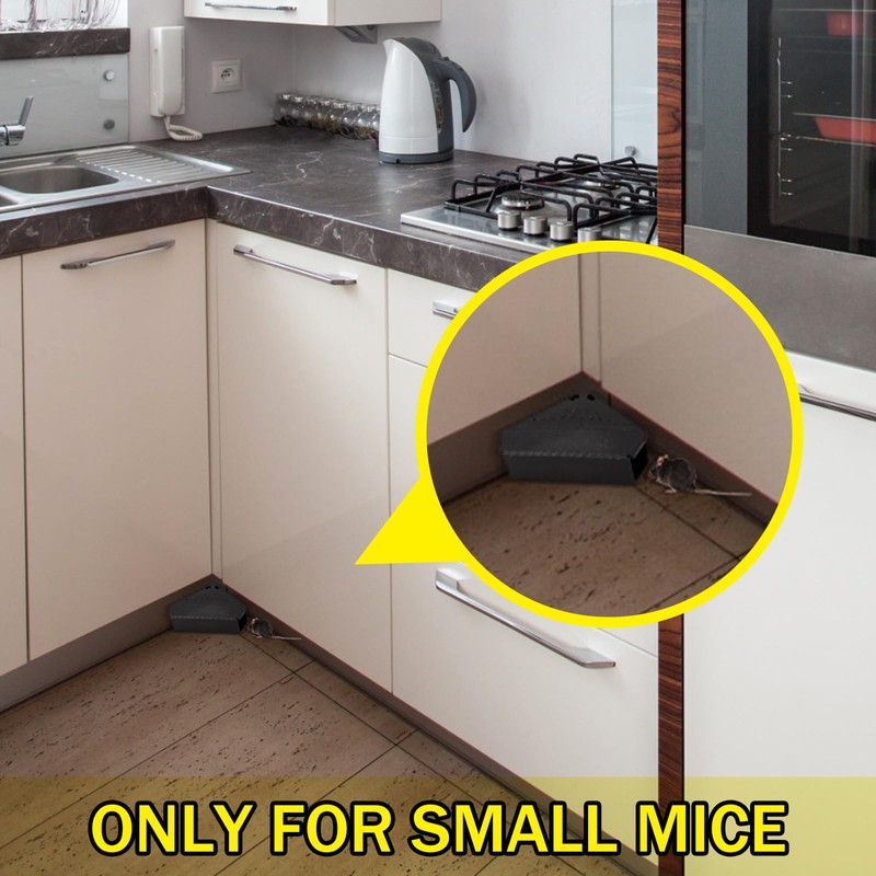 Qualirey 2 Pcs Mice Station with Key Triangle Mouse Station