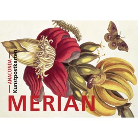 Postkarten-Set Maria Sibylla Merian: 18 Kunstpostkarten aus hochwertigem Karton. ca. 0,28€ pro Karte (Anaconda Postkarten, Band 2)