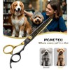 Momotou Black & Gold Professional Chunker Dog Grooming Scissors with