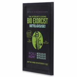 Beetlejuice Beetlejuice Leading Bio Exorcist Framed Wood Wall Decor - Fun Beetlejuice Picture for Home