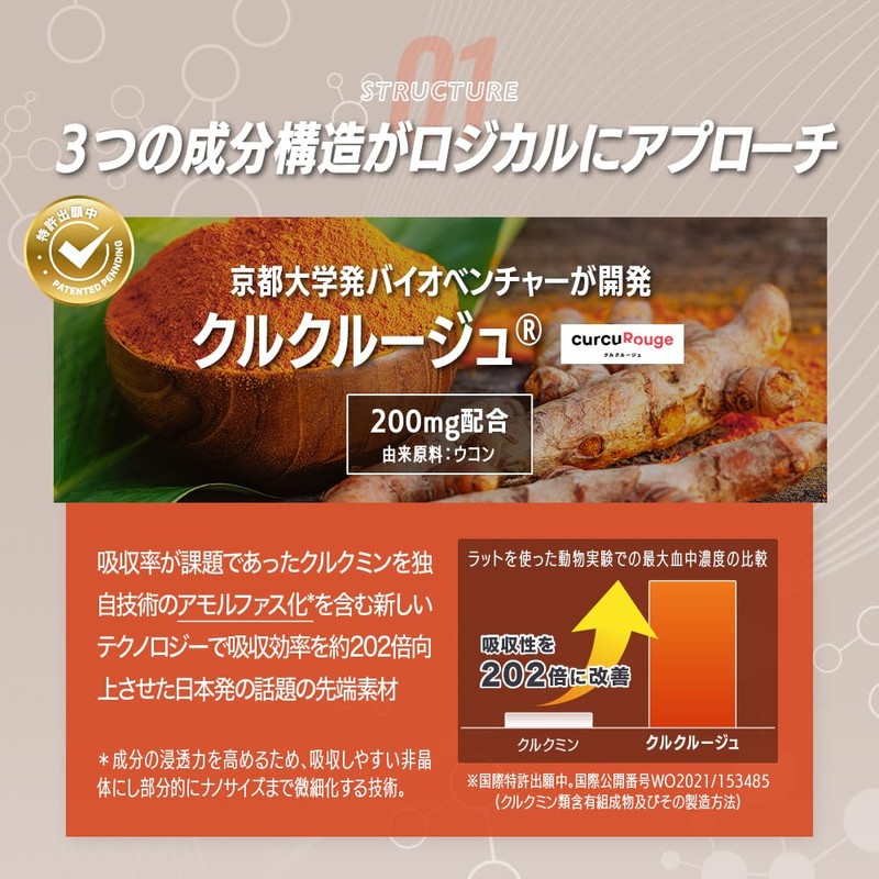 【新処方】酢酸菌酵素 配合 リボーン (Re;BONE) 高吸収 クルクミン クルクルージュ 飲み会 サプリ 5日分