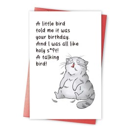 Qiavor Funny Birthday Card for Cat Lover, Rude Cat Birthday Card, Humorous Birthday Card for Friend Family Member, A Little Bird Told Me It Was Your Birthday
