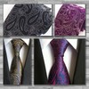 Rex Standard NA006 Men's Necktie, Paisley Pattern, Business, Casual Suit,