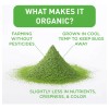 Aiya Since 1888 Té Verde Matcha En Polvo Orgánico 100