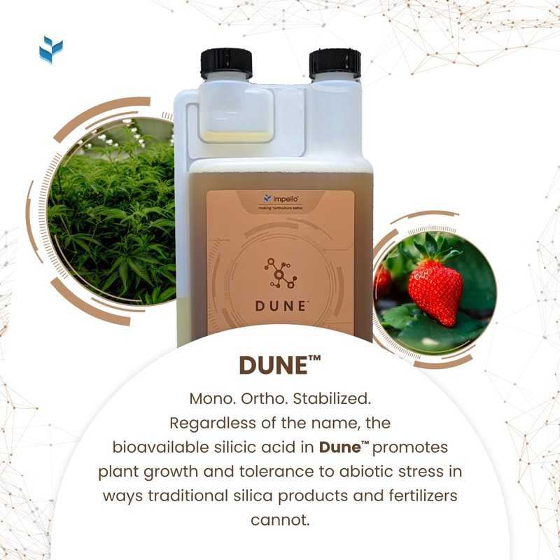 Dune - Bioavailable Silica for Plants – Strengthens Cell Walls,