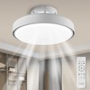 CELAVY Ceiling Fans with Lights and Remote, 19.8 in Flush