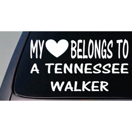 EZ-STIK My Heart Belongs to a Tennessee WalkerD994 Sticker Decal Horse
