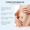 Sérum Inhibidor De Cabello Aceite Cyperus 100ml