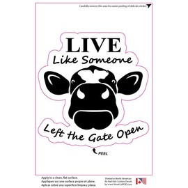2 Pack Live Like Someone Left The Gate Open Car Decal – Bad Fish Custom Decals – Funny Cute Sticker - Premium Gloss Permanent Vinyl Waterproof 6 Year Indoor Outdoor (Black, 2)