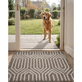 DEXI Front Door Mats for Entryway, Non Slip Washable Low-Profile Entry Doormat, Absorbent Resist Dirt Inside Floor Entrance Mat, Patio, 24x36, Brown